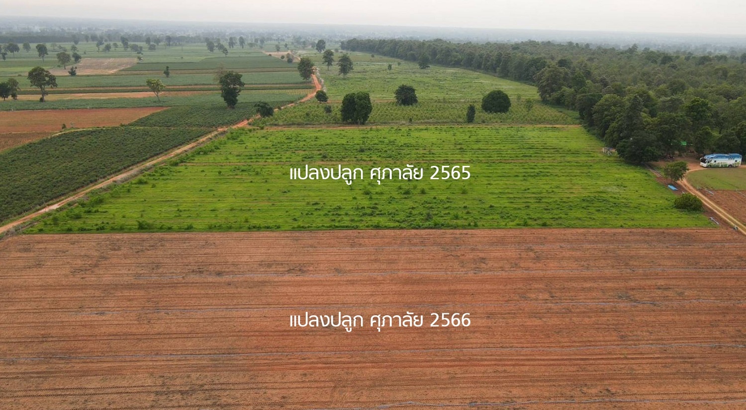 Supalai Go Green_10.jpg